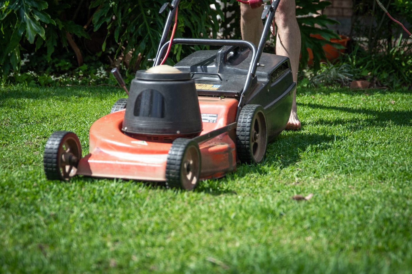 Mower on a healthy lawn